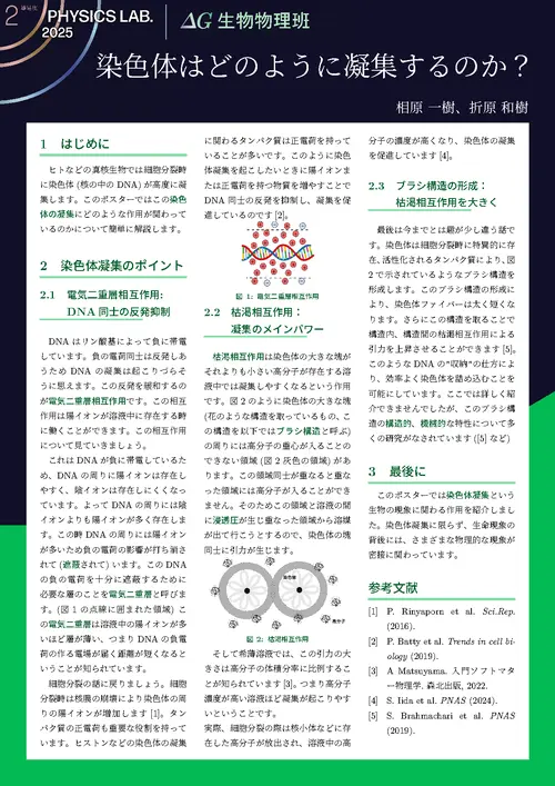 生物物理班 - Physics Lab. 2025